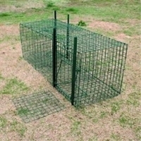 Picture of CH653   Bird Trap 
