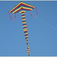 Picture of K2010  Rainbow Kite 79x39 
