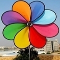 Picture of WW112  8 Colors Large Rainbow Daisy Spinner 71" x 59"[D1E]