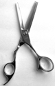 Picture of TS2  Professional Hair Thinning Shears apprx. lenght=6.75-in. blade=2.75-in  